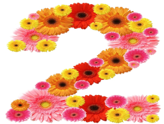 2 Number, Integer, Value, Count, Numeric PNG