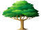 2D Tree, Efficient Search, Balanced Structure, Geometric Shapes, Nearest Neighbor PNG