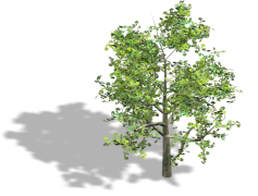 2D Tree, Multidimensional, K-D Tree, Search Structure, Spatial Data PNG