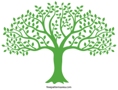 2D Tree, Search Algorithms, Spatial Data, Quadtrees, Range Queries PNG