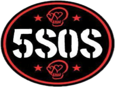 5 Seconds Of Summer, Fans, Australian, Rock, Pop PNG