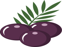 Acai Berry, Nutrient-Rich, Weight Loss, Organic, Superfood PNG