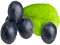 Acai Berry, Superfood, Nutrient-Rich, Amazonian Fruit, Antioxidants PNG