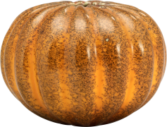 Acorn Squash, Versatile Cooking, Roasted Recipe, Nutrient-Rich, Winter Vegetable PNG
