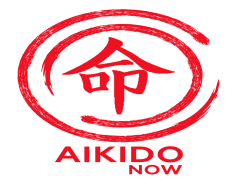 Aikido, Balance, Self-Defense, Movement, Martial Arts PNG