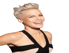 Alecia Moore, Musician, Performer, Pop, Activist PNG