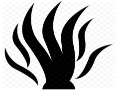 Algae, Nutrient, Biofuel, Aquatic, Ecosystem PNG