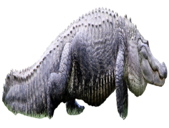 Alligator, Reptile, Swamp, Ecosystem, Habitat PNG