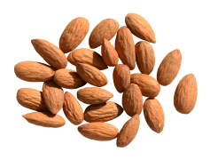 Almond Nut, Healthy Snack, Gluten Free, Nutrient Rich, Versatile Ingredient PNG