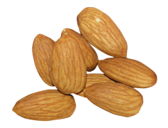 Almond Nut, Healthy Snack, Nutritious Food, Versatile Ingredient, Vegan Option PNG