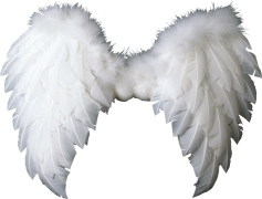 Angel Wings, Celestial, Ethereal, Divine, Soar PNG