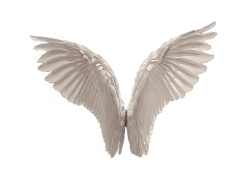 Angel Wings, Divine, Celestial, Feathered, Ethereal PNG