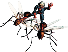 Ant-Man PNG Picture