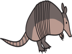 Armadillo, Armor, Foraging, Wildlife, Desert PNG