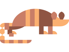 Armadillo, Burrow, Mammal, Wildlife, Armor PNG
