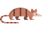 Armadillo, Shell, Mammal, Species, Animal PNG