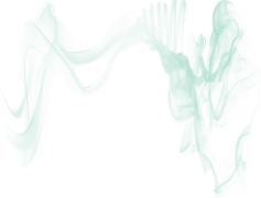 Aroma, Bouquet, Essence, Odor, Whiff PNG