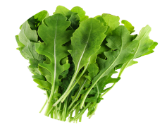 Arugula, Peppery, Greens, Leafy, Nutrient-Rich PNG