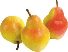 Asian Pear, Asian, Sweet, Fresh, Fruit PNG