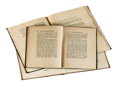 Autumn Aesthetic Theme, Warm Hues, Rustic Charm, Cozy Vibes, Sweater Weather PNG