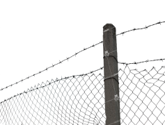 Barb Wire, Industrial, Fencing, Enclosure, Ranch PNG