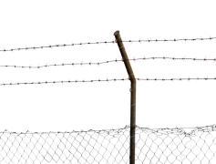 Barb Wire, Sharp, Security, Rustic, Fencing PNG