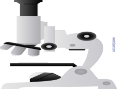 Basic Microscope, Lens System, Educational Tool, Slide Preparation, Biological Research PNG