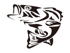 Bass Fish, Freshwater, Lure, Habitat, Tackle PNG