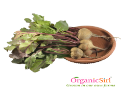 Beetroot, Nutrition, Organic, Colorful, Salad PNG