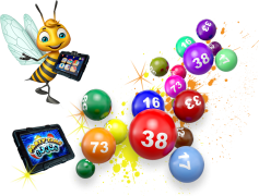 Bingo, Fun, Win, Play, Card PNG