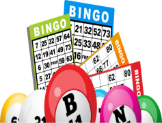 Bingo, Luck, Numbers, Game, Fun PNG