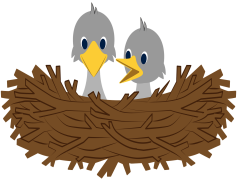Bird Nest Hatchlings, Hatch, Nesting, Wildlife, Baby Birds PNG