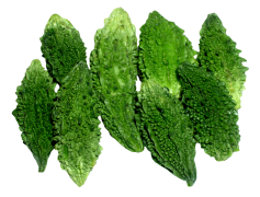 Bitter Gourd Vegetable, Health Benefits, Nutrient-Rich, Antioxidant Properties, Culinary Uses PNG