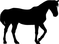 Black Arabian Horse, Dark Coat, Enduring Spirit, Arabian Breed, Graceful Stride PNG