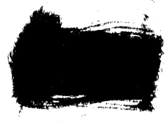 Black Brush Texture, Creative Finish, Abstract Canvas, Artistic Stroke, Bold Brushwork PNG