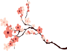 Blossom, Growth, Petals, Flower, Nature PNG