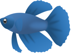 Blue Fish, Ocean, Colorful, Sea Life, Wildlife PNG