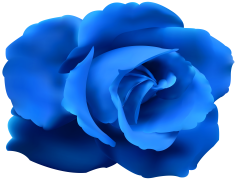 Blue Flower, Serenity, Beauty, Botanical, Flora PNG