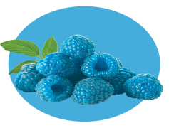Blue Raspberry, Candy, Tart, Fruit, Beverage PNG