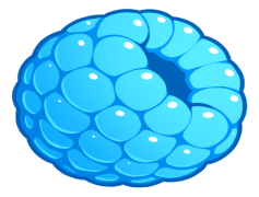 Blue Raspberry, Treat, Dessert, Beverage, Fruit PNG
