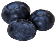 Blueberry, Fruit, Blue, Healthy, Nutrition PNG
