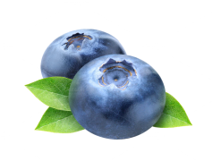 Blueberry, Snack, Healthy, Nutrition, Fruit PNG