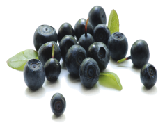 Blueberry, Sweet, Antioxidants, Fruit, Healthy PNG