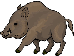 Boar, Wildlife, Animal, Nature, Hunting PNG