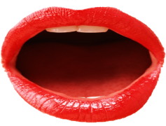 Boca, Collection, Concept, Elements, Aesthetic PNG