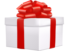 Bowknot, Decor, Gift, Elegant, Tie PNG