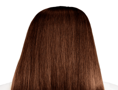 Brown Hair, Dark Tresses, Cocoa Strands, Mahogany Waves, Earthy Highlights PNG