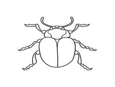 Bug Issue, Bug Detection, Bug Analysis, Bug Tracking, Bug Report PNG