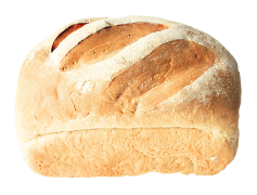 Bun Bread Vector, Dough, Gourmet, Bakery, Food PNG