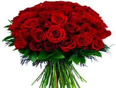 Bunch, Bundle, Set, Group, Collection PNG